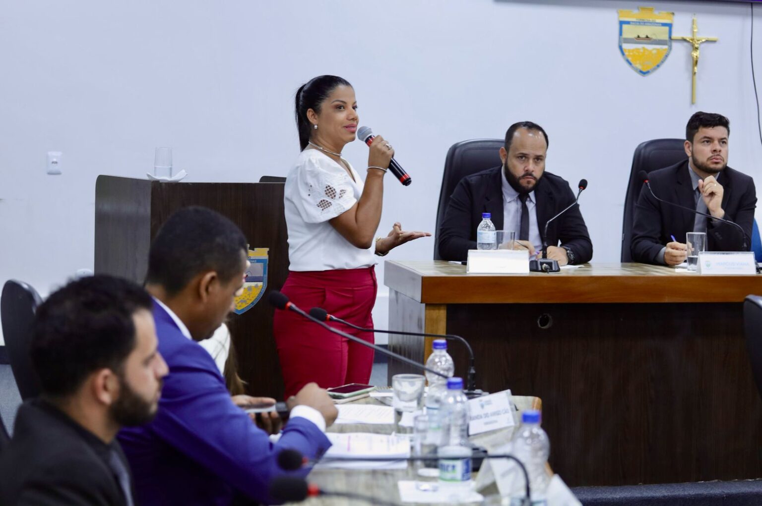 Simon Ribeiro Prefeita Simone Ribeiro justifica, na Câmara, o decreto de situação de ...