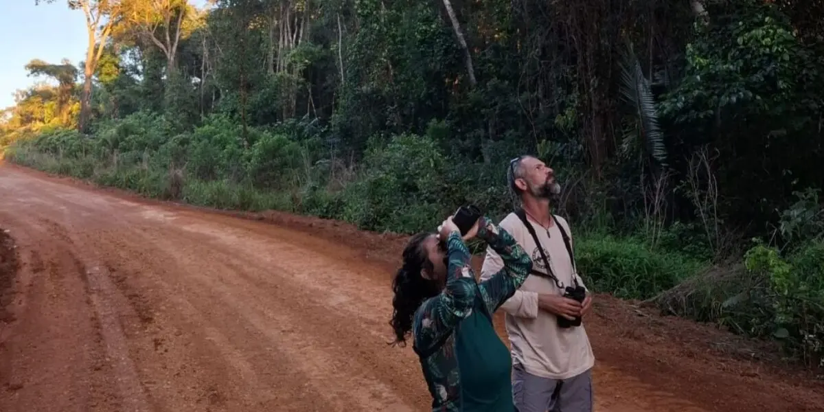 SEMAD_TURISMO_DE_OBSERVACAO_DE_AVES2