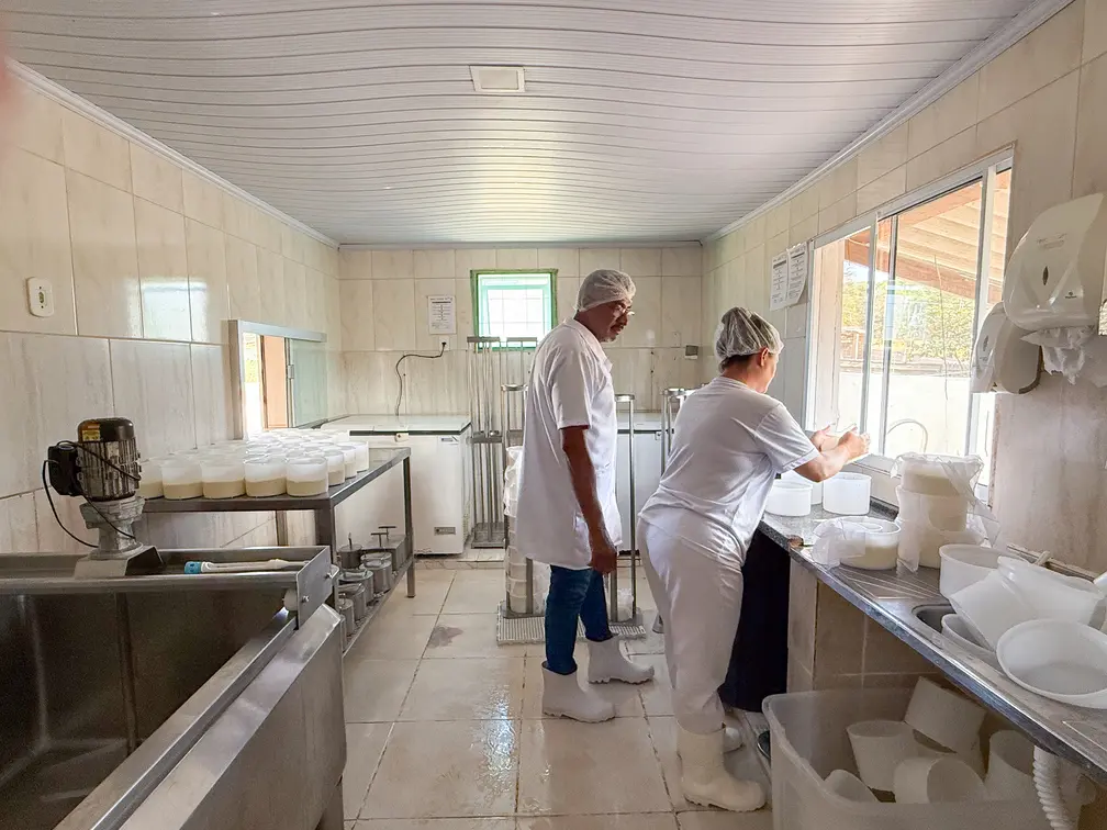 Queijaria Sitio das Oliveiras Foto Cintia Ferreira (2)