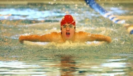 swimmer-1483859_1280