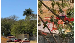 Viaturas abandonadas em Cidade Ocidental