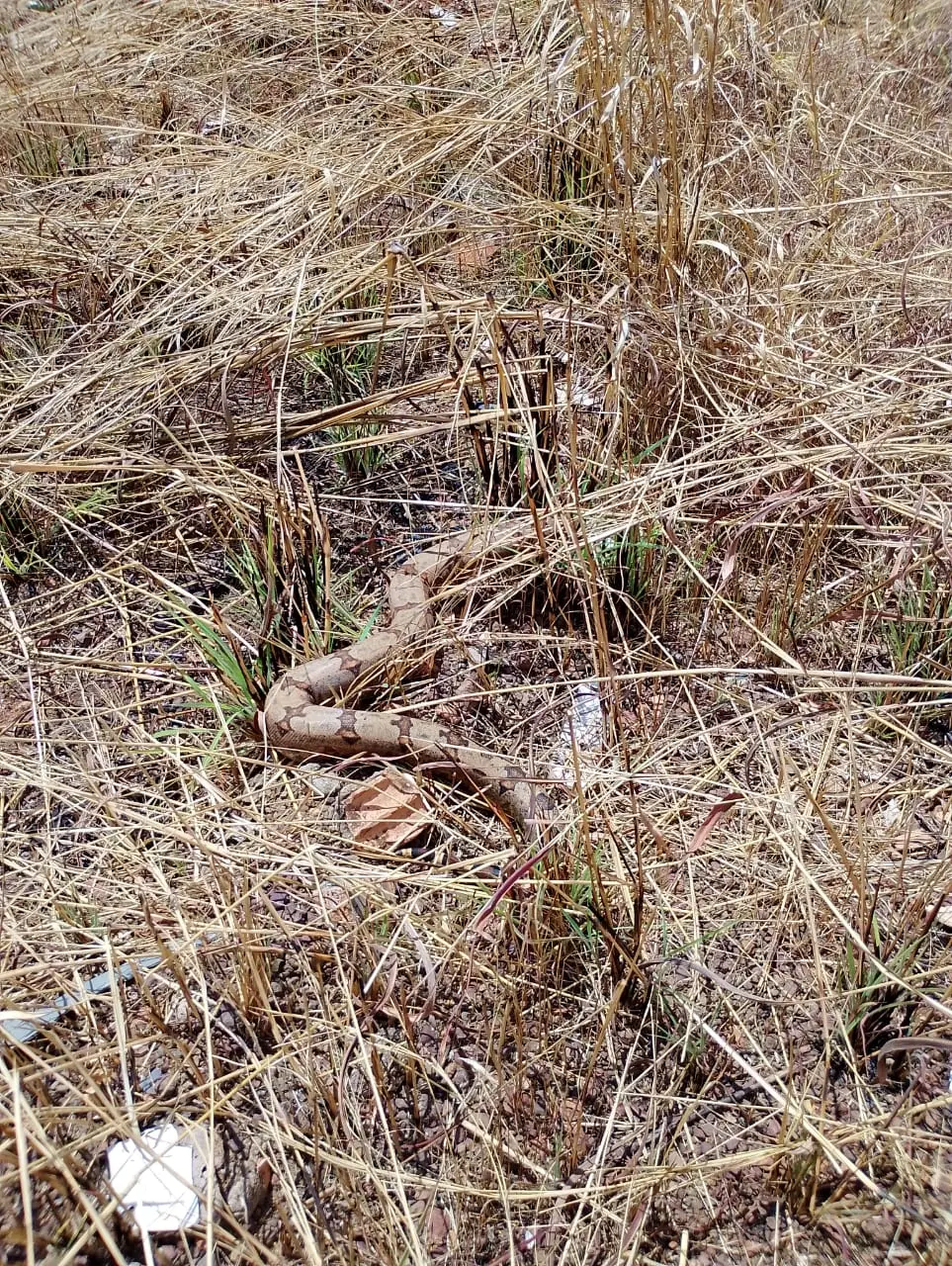 WhatsApp Image 2025-09-25 at 15.24.36