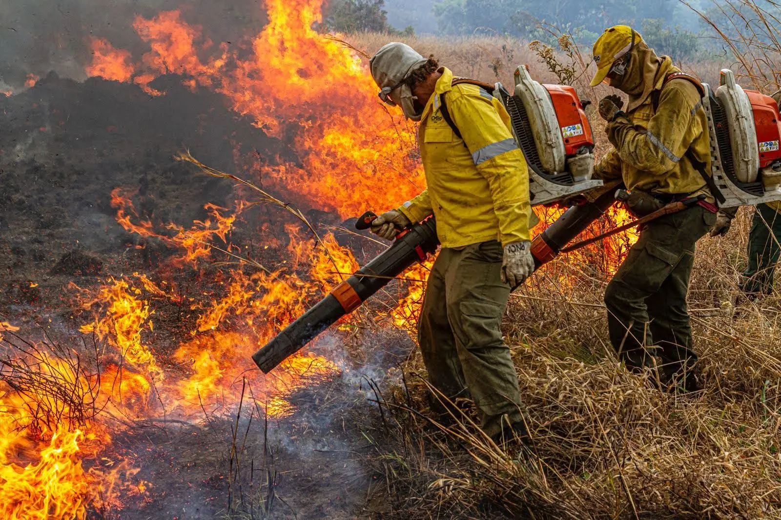 WhatsApp Image 2025-10-14 at 07.06.51