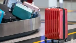 WhatsApp Image 2025-10-29 at 11.39.45