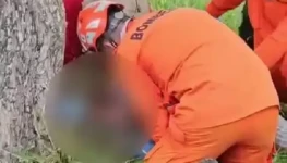 Captura de tela 2025-11-24 143456