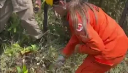 Salvamento de cachorro