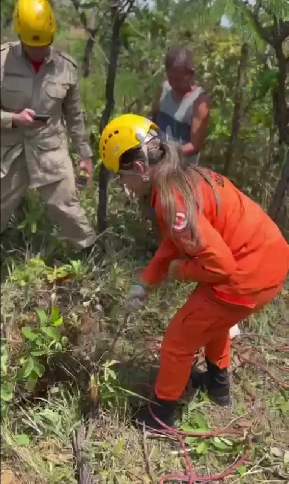 Salvamento de cachorro