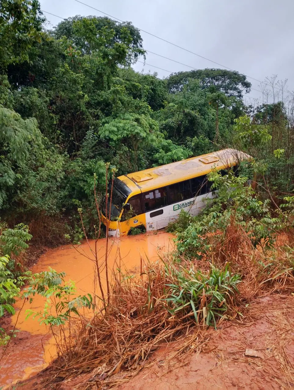 WhatsApp Image 2025-11-03 at 14.37.17