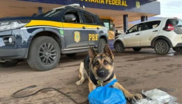 WhatsApp Image 2025-11-04 at 05.39.46