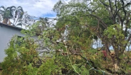 WhatsApp Image 2025-11-09 at 13.15.37