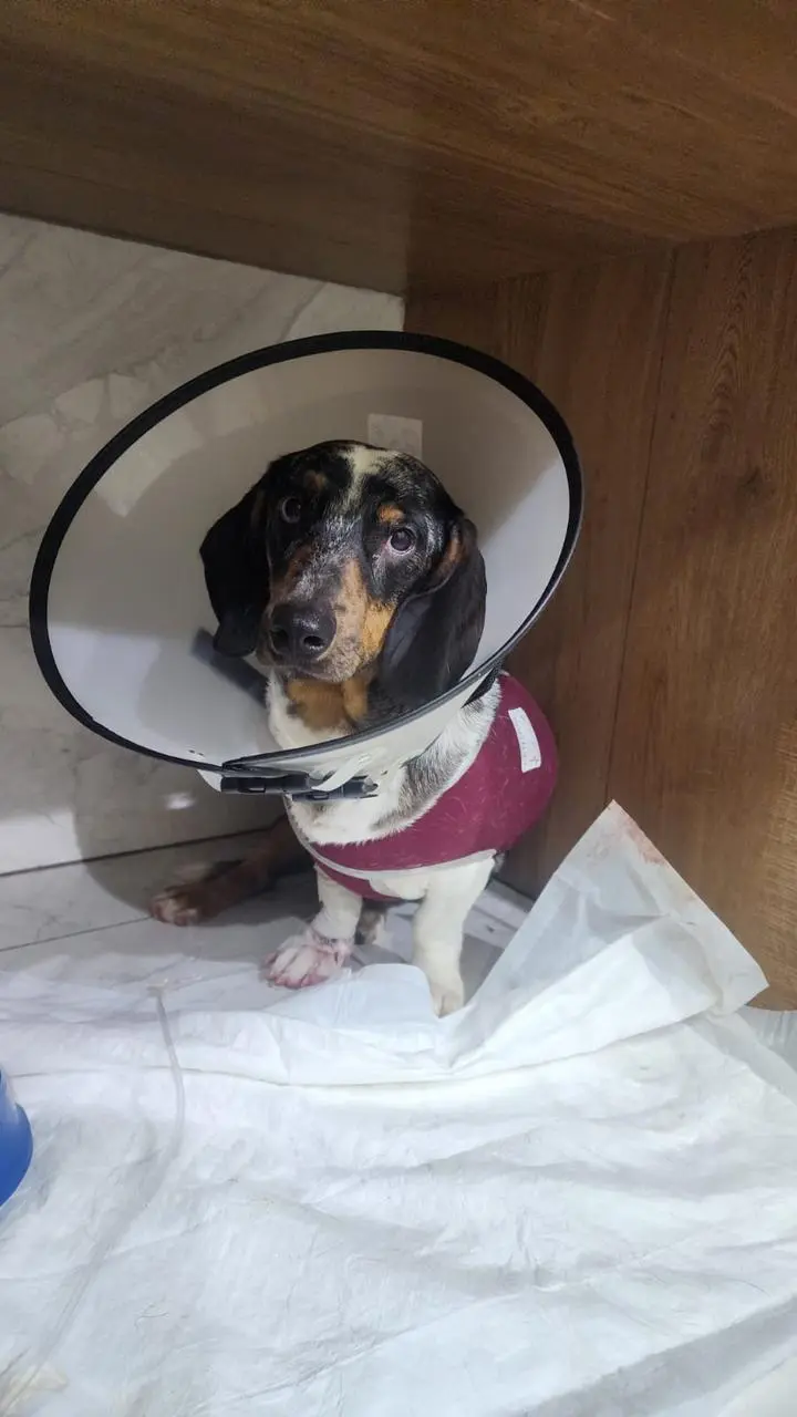 WhatsApp Image 2025-11-10 at 08.07.49