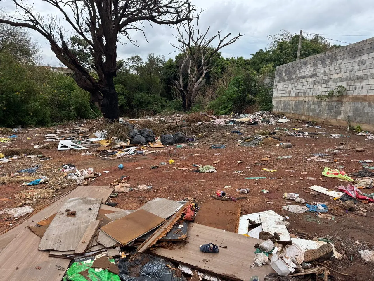 WhatsApp Image 2025-11-12 at 16.06.05 (1)