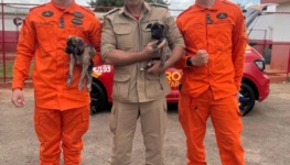 WhatsApp Image 2025-11-18 at 10.10.33