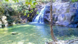 2b877d58-bbf7-4bd2-8984-8f7459dac6af