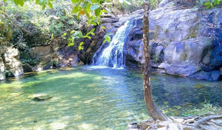 2b877d58-bbf7-4bd2-8984-8f7459dac6af