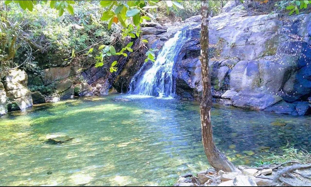 2b877d58-bbf7-4bd2-8984-8f7459dac6af