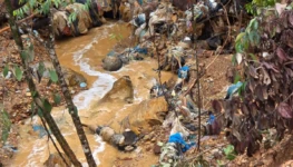 WhatsApp Image 2025-12-09 at 11.46.22