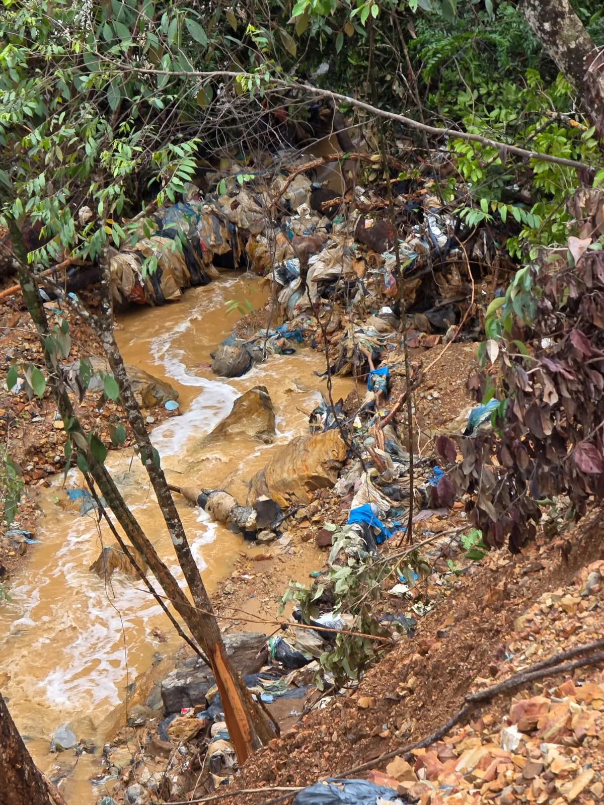 WhatsApp Image 2025-12-09 at 11.46.22