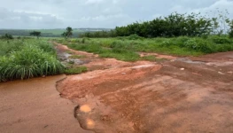 WhatsApp Image 2025-12-19 at 11.13.47 (1)