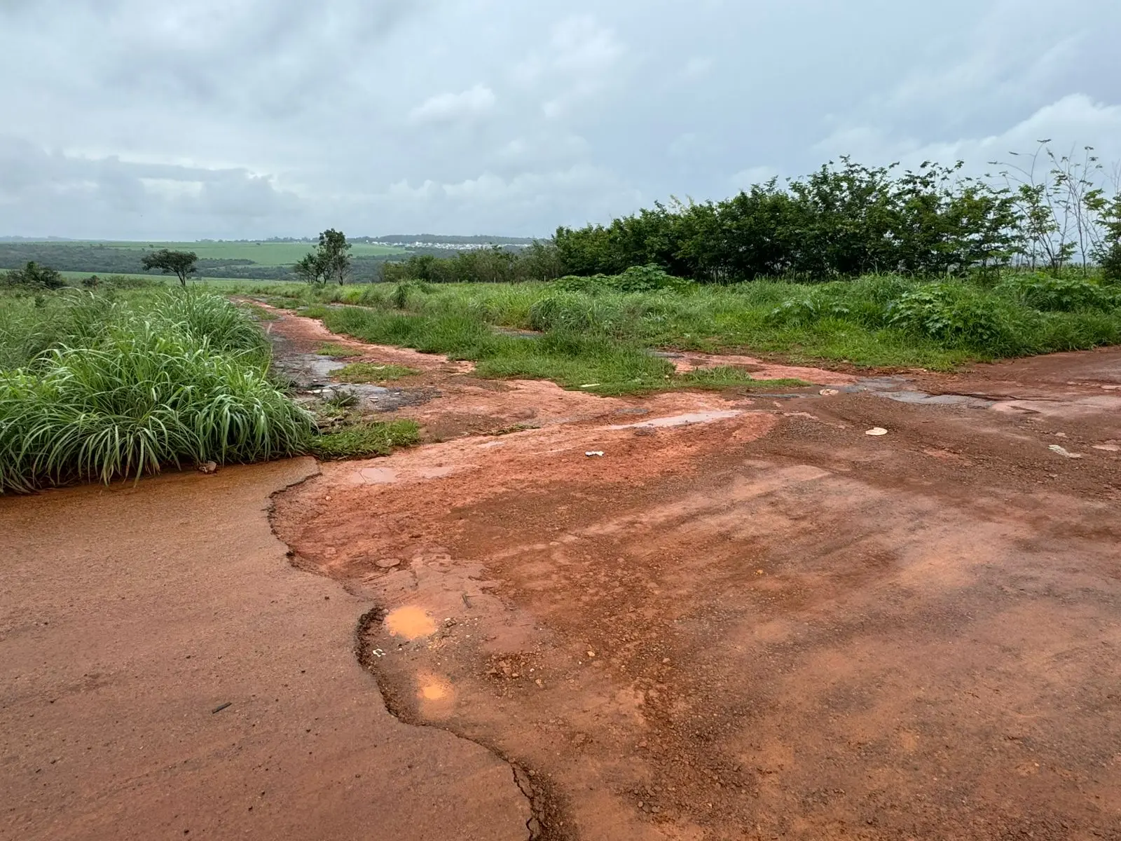 WhatsApp Image 2025-12-19 at 11.13.47 (1)