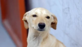 WhatsApp Image 2025-12-27 at 10.04.27 (1)