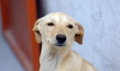 WhatsApp Image 2025-12-27 at 10.04.27 (1)