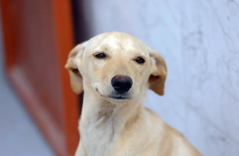 WhatsApp Image 2025-12-27 at 10.04.27 (1)