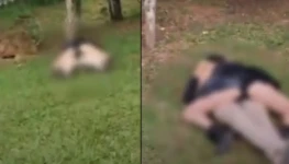 973a2d44-004c-4ee4-8b95-86811d3e9e0f