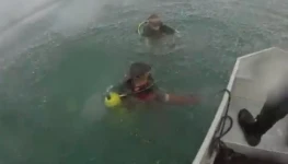 Mergulhadores Alexania