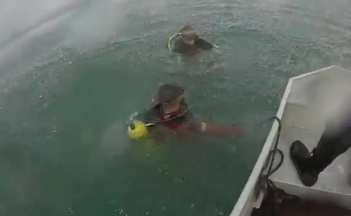 Mergulhadores Alexania