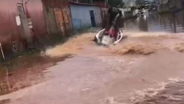 WhatsApp Image 2026-01-05 at 11.12.31