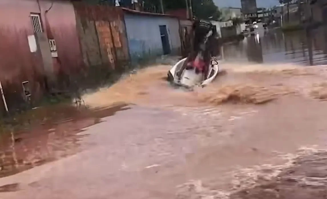 WhatsApp Image 2026-01-05 at 11.12.31