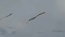 WhatsApp Image 2026-01-21 at 17.48.24