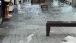 WhatsApp Image 2026-01-26 at 08.52.06 (1)