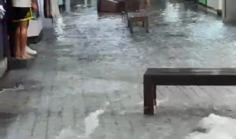 WhatsApp Image 2026-01-26 at 08.52.06 (1)