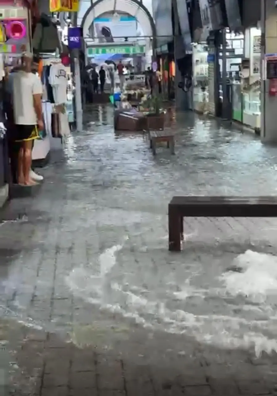 WhatsApp Image 2026-01-26 at 08.52.06 (1)