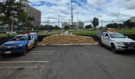 Batalhao-Rural-agrotoxicos-3_PMGO