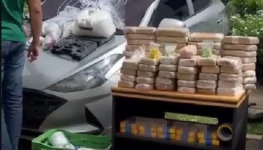 PF encontra laboratório de maconha