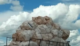 WhatsApp Image 2026-02-03 at 12.31.08 (1)