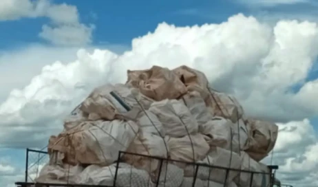 WhatsApp Image 2026-02-03 at 12.31.08 (1)