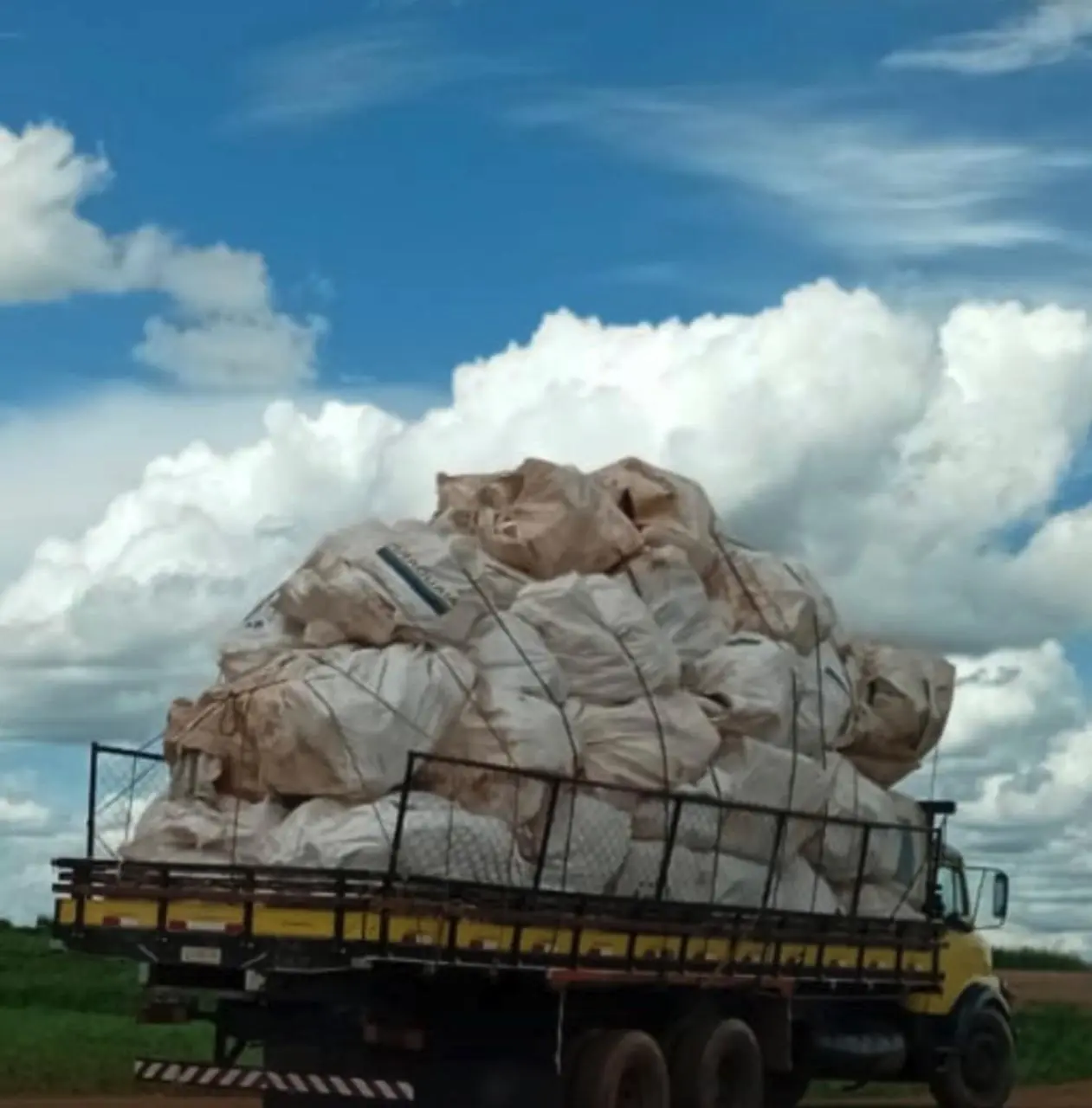 WhatsApp Image 2026-02-03 at 12.31.08 (1)