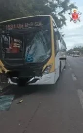 WhatsApp Image 2026-02-11 at 11.25.06