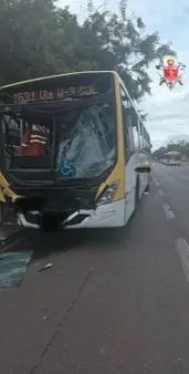 WhatsApp Image 2026-02-11 at 11.25.06