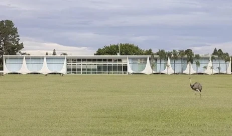 fachada-do-palacio-da-alvorada-em-brasilia-e-ema-a-frente