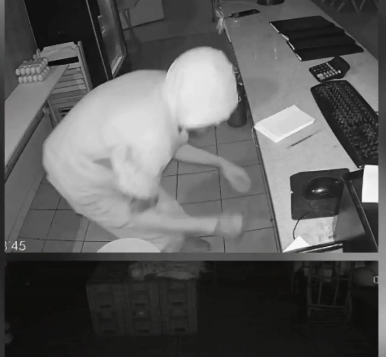 WhatsApp Image 2026-03-02 at 12.45.06 (1)