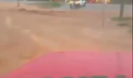 WhatsApp Image 2026-03-03 at 08.03.55