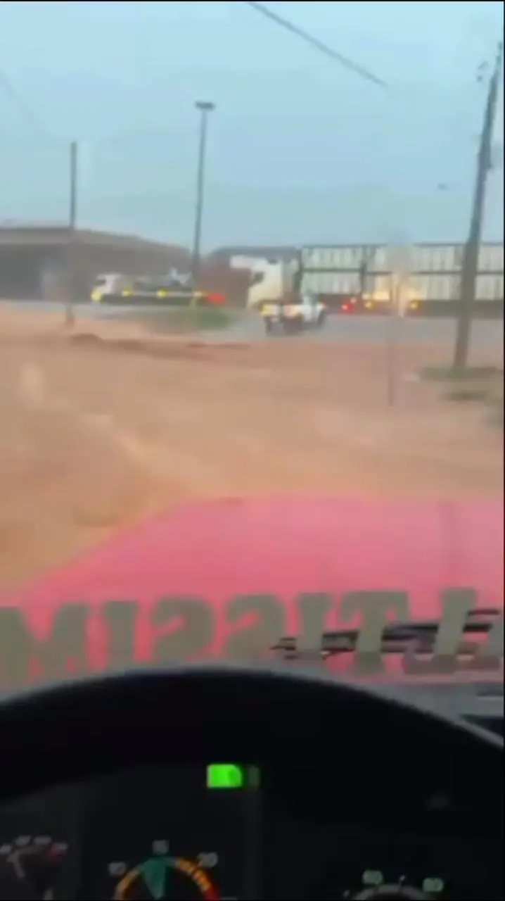 WhatsApp Image 2026-03-03 at 08.03.55