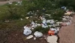 WhatsApp Image 2026-03-23 at 11.31.07