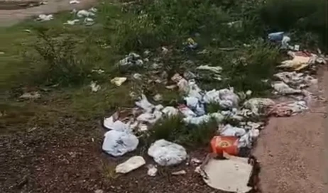 WhatsApp Image 2026-03-23 at 11.31.07