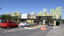 48348406452_402fe5d4fc_k